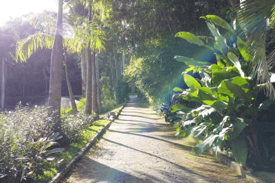 Pré-reserva - Visita Mediada Manhã 2h